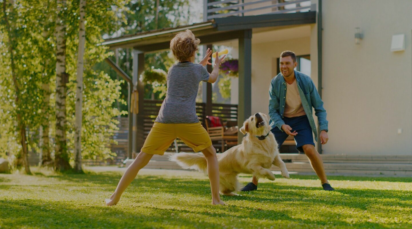 Father and son playing with Golden Retriever in yard